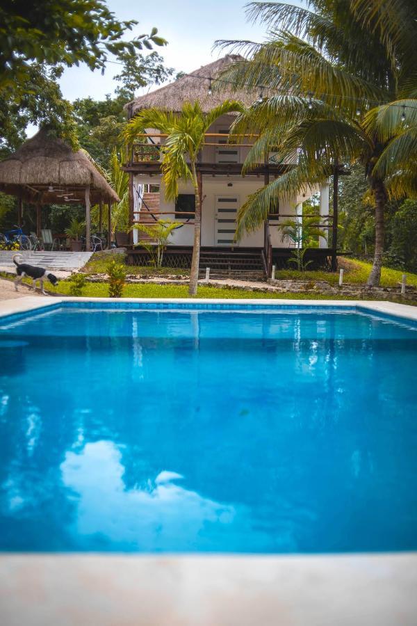 Royal Palm Bacalar Cabanas & Lagoon Club Ngoại thất bức ảnh